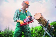 Einhell GE-LC 36/35 Li-Solo Akülü Zincirli Testere 4501780