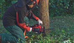 Einhell GC-PC 2040 I Benzinli Ağaç Kesme Makinesi - 4501851